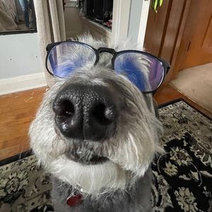 Meet your Posher, Kai